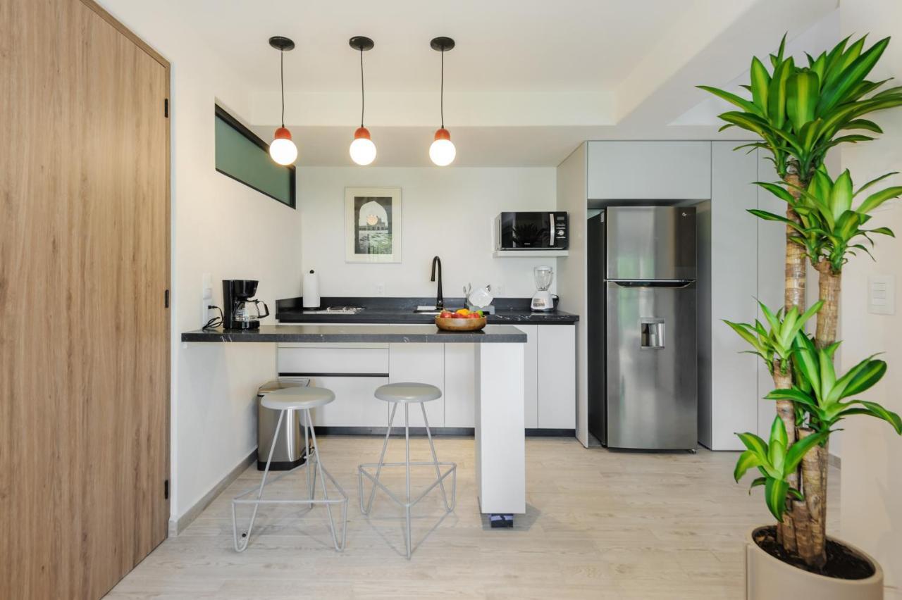 Choapan 28 - Lux Apartments In Condesa 멕시코 시 외부 사진